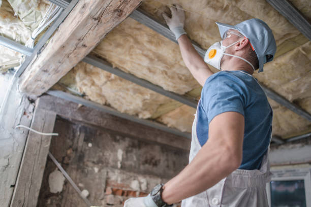 Best Insulation Contractors for Homes  in Langhorne, PA