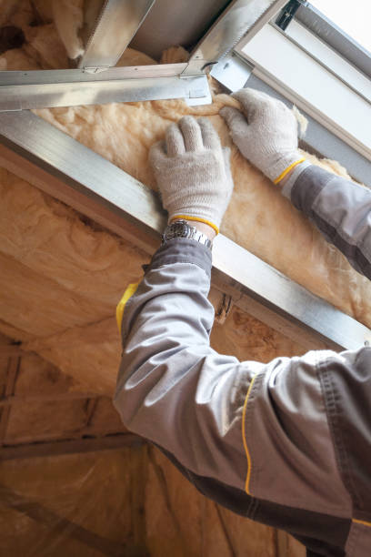 Best Home Insulation Services  in Langhorne, PA