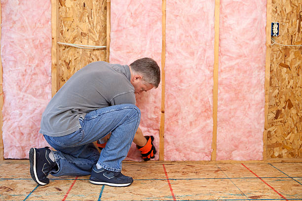 Best Local Insulation Services  in Langhorne, PA