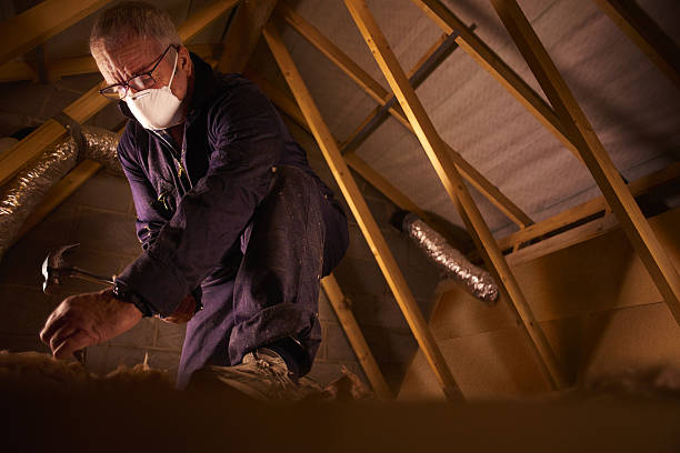 Best Insulation for New Construction  in Langhorne, PA